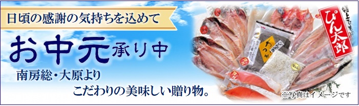 定規 世界的に リスナー ぴん 太郎 干物 通販 Collabofactory Jp