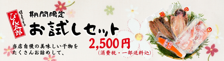お試し
